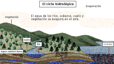 El ciclo del agua relaciona todas las partes de la Hidrosfera. Tomada de platea.pntic.mec.es/~iali