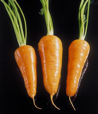 zanahoria-a.jpg