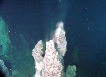 Precipitacin de sales a la salida de un fluido hidrotermal en zonas prximas a una dorsal.