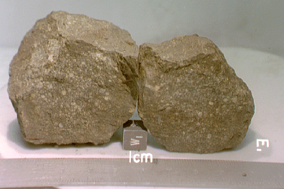 Meteoritos de composición condrítica (cortesía de la NASA)