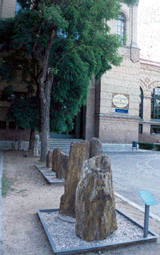 Jardn de piedras del Museo de Ciencias Naturales de Madrid. La materia orgnica de los rboles ha sido sustituida por slice.