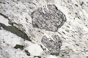 Minerales en una roca metamrfica crecidos a partir de componentes liberados en la matriz.