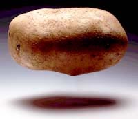 La patata posee gran cantidad de almidn y otros glcidos
