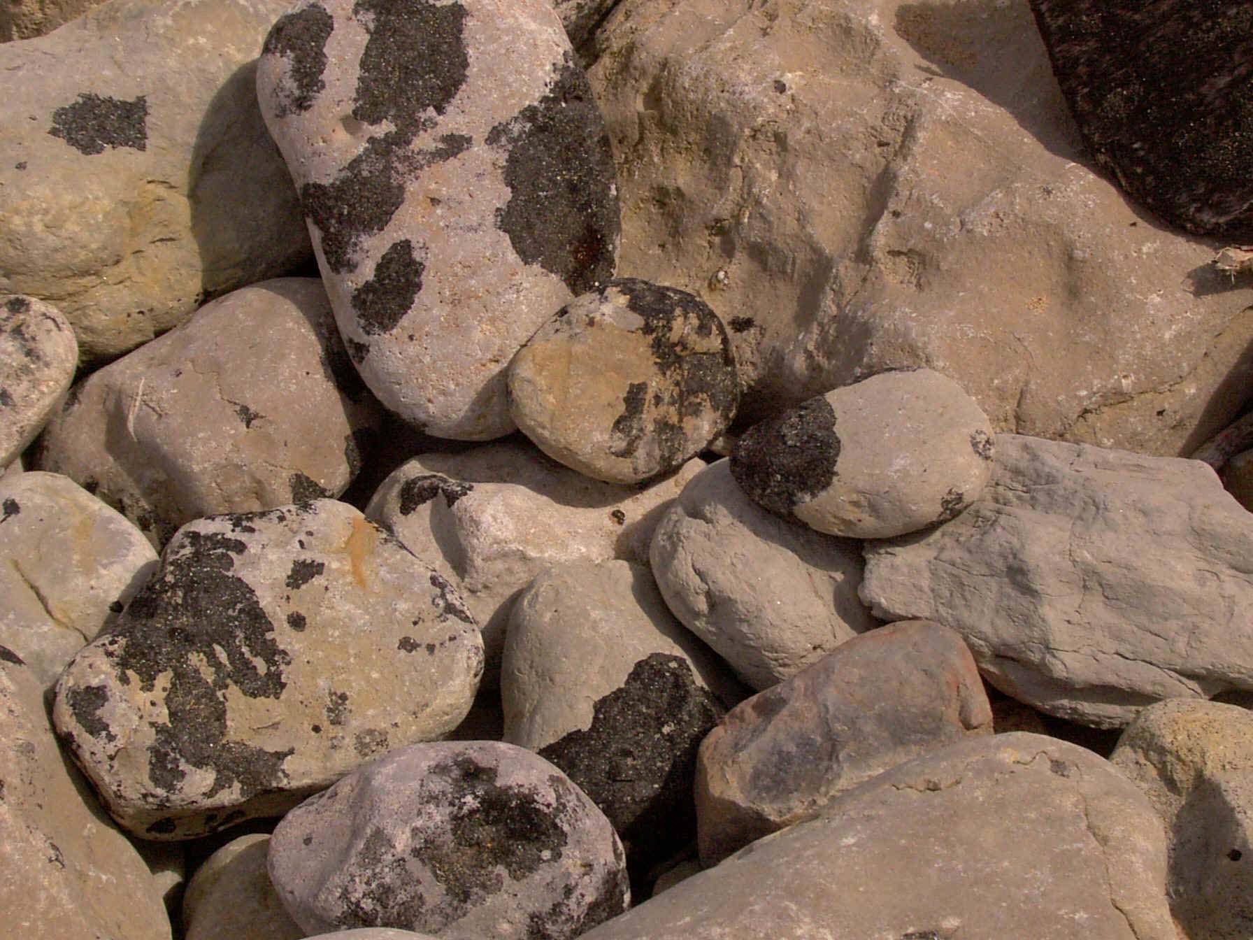 Piedras en la costa, manchadas por vertidos de petrleo en el mar. Imagen: De Mier y Leva