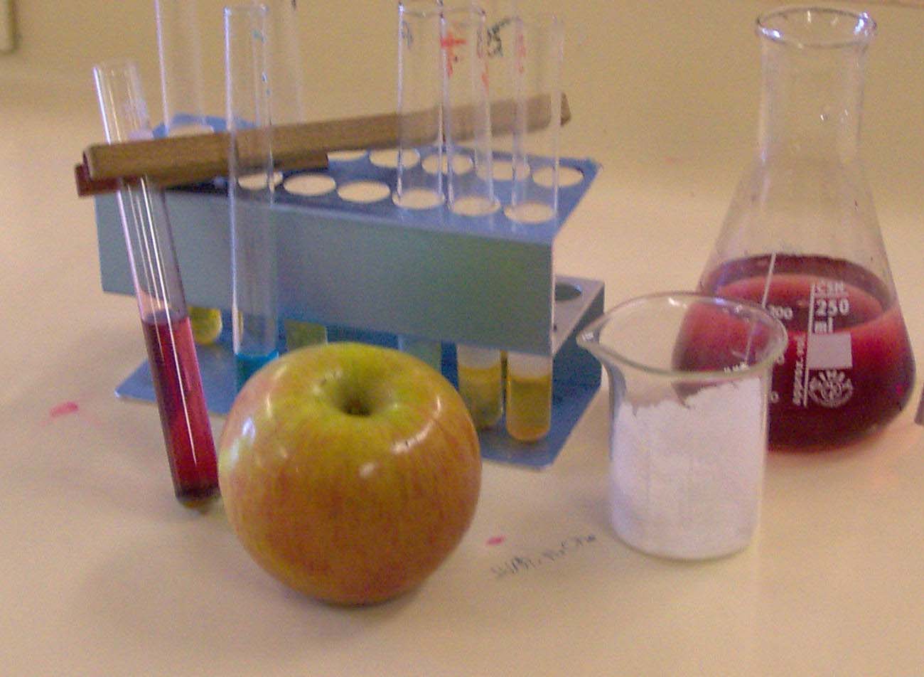 Manzanas de laboratorio. Imagen. De Mier y Leva
