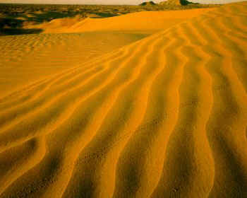 Los sedimentos acumulados en estas dunas son fragmentos erosionados de otras rocas