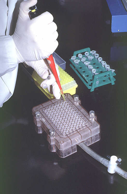 La biotecnología nos aporta gran cantidad de productos de uso cotidiano. Tomada de www.glfc.forestry.ca