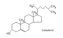 Estructura química del colesterol