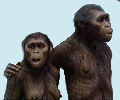 Imagen artística de un macho y una hembra de Australopithecus afarensis