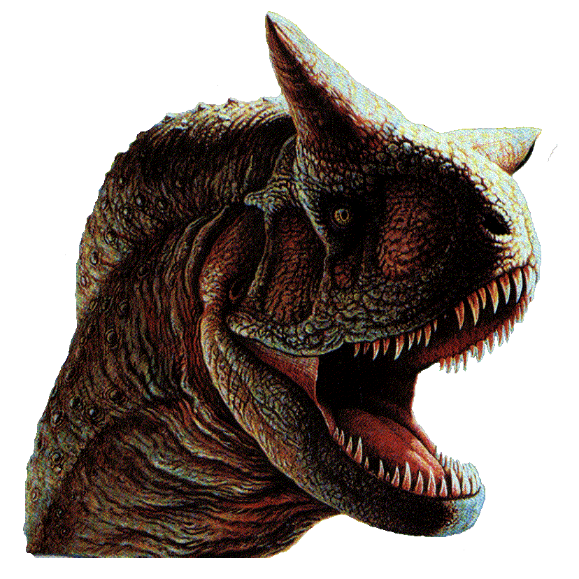 "Cabeza de Carnosaurio, Mesozoico. Tomada de www.grinpach.cl"