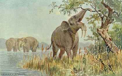 "Paisaje del Terciario, con el Dinotherium, antepasado de los elefantes, en primer lugar. Tomada de www.kheper.auz.com"
