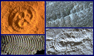 "La fauna de Ediacara representa la primera gran explosión de vida sucedida en la Tierra, que se continuará a lo largo del Paleozoico. Tomada www.ucmp.berkeley.edu"
