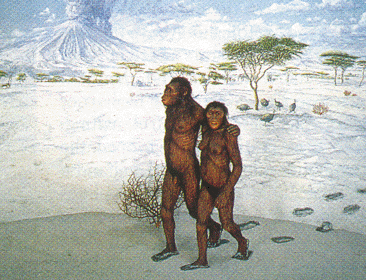 "Australopithecus afarensis. Tomada de www.people.virginia.edu"  