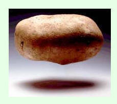 Fotografa de una patata como ejemplo de alimento rico en glcidos.
