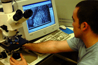 Becario observando una preparacin microscpica en un monitor.